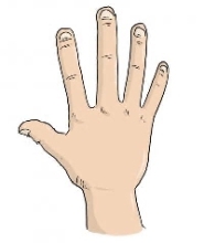 148.jpg