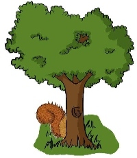 37.jpg