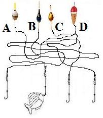 81.jpg